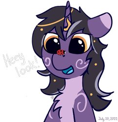 Size: 1967x2032 | Tagged: safe, artist:hardrock, imported from derpibooru, oc, oc only, oc:rivibaes, insect, ladybug, pony, unicorn, chest fluff, female, horn, simple background, solo, transparent background, unicorn oc