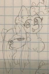 Size: 731x1085 | Tagged: safe, artist:metaruscarlet, imported from derpibooru, pinkie pie, earth pony, pony, duo, graph paper, open mouth, pinkamena diane pie, sketch, smiling, traditional art