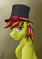 Size: 1200x1680 | Tagged: safe, artist:lennystendhal13, imported from derpibooru, oc, oc:instant karma, pony, bust, hat, male, portrait, solo, stallion