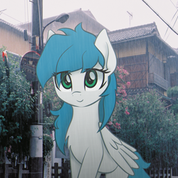 Size: 1230x1230 | Tagged: safe, artist:ramprover, artist:zylgchs, edit, imported from derpibooru, oc, oc only, oc:cynosura, pegasus, pony, female, irl, japan, looking at you, mare, pegasus oc, photo, ponies in real life, rain, smiling, solo