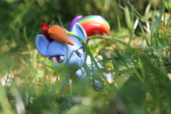 Size: 5184x3456 | Tagged: safe, artist:dustysculptures, imported from derpibooru, rainbow dash, pegasus, pony, craft, crouching, grass, narrowed eyes, sculpture, solo