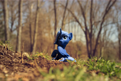 Size: 5184x3456 | Tagged: safe, artist:dustysculptures, imported from derpibooru, princess luna, alicorn, pony, craft, forest, raised hoof, s1 luna, sculpture, sitting, solo