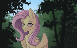 Size: 2560x1600 | Tagged: safe, artist:tanatos, imported from derpibooru, fluttershy, pegasus, pony, cute, female, folded wings, forest, looking at you, mare, solo, tree, wings
