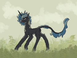 Size: 4096x3112 | Tagged: safe, artist:hrabiadeblacksky, imported from derpibooru, oc, oc:hrabia de black sky, bat pony, hybrid, pony, unicorn, blue eyes, male, solo, stallion