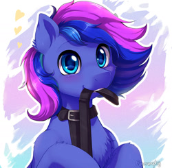 Size: 2000x1961 | Tagged: safe, artist:evomanaphy, edit, imported from twibooru, oc, oc only, oc:midnight haze, pony, blushing, collar, floating heart, heart, image, leash, looking at you, mouth hold, needs more jpeg, solo