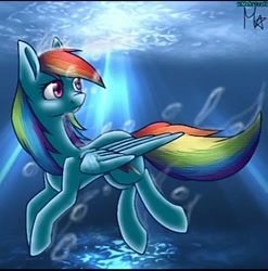 Size: 720x728 | Tagged: safe, artist:felizcumpley, imported from derpibooru, rainbow dash, pegasus, pony, bubble, crepuscular rays, digital art, female, folded wings, mare, multicolored hair, ocean, pink eyes, rainbow hair, signature, solo, sunlight, swimming, underwater, water, wings