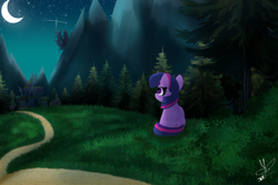 Size: 3000x2000 | Tagged: safe, artist:daftramms, imported from derpibooru, twilight sparkle, alicorn, pony, canterlot, crescent moon, cute, forest background, moon, night, ponyville, scenery, solo, twilight sparkle (alicorn), twilight's castle