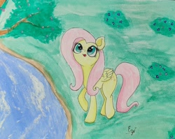 Size: 1534x1218 | Tagged: safe, artist:engi, imported from derpibooru, fluttershy, pegasus, pony, cute, daaaaaaaaaaaw, female, looking up, open mouth, shyabetes, solo, traditional art, tree branch, water, watercolor painting