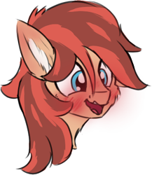 Size: 370x427 | Tagged: safe, artist:litrojia, imported from derpibooru, oc, oc only, oc:cottonwood kindle, earth pony, pony, blushing, blushing profusely, bust, cheek fluff, chest fluff, colored sketch, ear blush, ear fluff, grin, male, nervous, nervous grin, open mouth, open smile, portrait, simple background, smiling, solo, stallion, transparent background