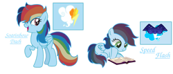 Size: 1366x585 | Tagged: safe, artist:mialositas2017, imported from derpibooru, oc, oc only, oc:soarinbow dash, oc:speed flash, pegasus, pony, book, cutie mark, female, lying down, mare, multicolored hair, offspring, parent:rainbow dash, parent:soarin', parents:soarindash, prone, rainbow hair, raised hoof, reading, reference sheet, siblings, simple background, sisters, smiling, text, transparent background, twins, wings