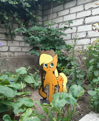 Size: 3008x3689 | Tagged: safe, artist:kvas!, imported from derpibooru, applejack, earth pony, pony, 1000 years in photoshop, garden, gardening, hat, irl, photo, ponies in real life, shovel, solo