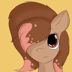 Size: 2000x2000 | Tagged: safe, artist:quickcast, imported from derpibooru, oc, oc only, earth pony, pony, bust, earth pony oc, female, hair over one eye, simple background, smiling, solo, yellow background