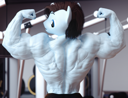 Size: 3900x3000 | Tagged: safe, artist:dashie116, imported from derpibooru, oc, oc only, oc:calm wind, anthro, 3d, back muscles, biceps, bodybuilder, commission, daz studio, flexing, gym, male, muscles, muscular male, solo, stallion, wingless, wingless anthro