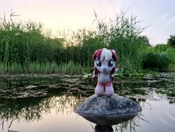 Size: 4032x3024 | Tagged: safe, artist:xeto_de, imported from derpibooru, oc, oc:vanilla cream, pony, female, filly, foal, g4, irl, nature, photo, photography, plushie, pony plushie, realistic