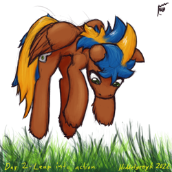 Size: 1000x1000 | Tagged: safe, artist:hiddelgreyk, imported from derpibooru, oc, oc only, pegasus, airborne, atg 2022, behaving like a fox, blue mane, brown coat, grass, green eyes, jumping, male, newbie artist training grounds, pegasus oc, pounce, simple background, stallion, tail, touch grass, transparent background, two toned mane, two toned tail