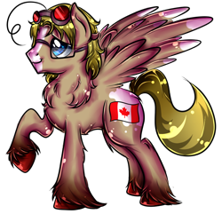 Size: 1000x1000 | Tagged: safe, artist:sirgalahadbw, imported from derpibooru, pegasus, pony, canada (hetalia), glasses, hetalia, matthew williams, ponified, raised hoof, simple background, solo, transparent background