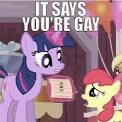 Size: 618x618 | Tagged: safe, edit, edited screencap, imported from derpibooru, screencap, apple bloom, twilight sparkle, alicorn, earth pony, pony, unicorn, caption, cropped, image macro, it says you're gay, needs more jpeg, text, unicorn twilight