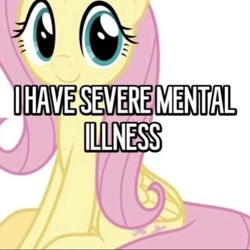 Size: 530x530 | Tagged: safe, edit, edited screencap, imported from derpibooru, screencap, fluttershy, pegasus, pony, caption, dissonant caption, image macro, simple background, solo, text, white background