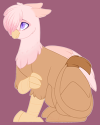 Size: 1486x1854 | Tagged: safe, artist:purplegrim40, imported from derpibooru, oc, oc only, griffon, hippogriff, hybrid, griffon oc, hair over one eye, interspecies offspring, magical lesbian spawn, male, offspring, parent:fluttershy, parent:gilda, parents:gildashy, purple background, simple background, solo