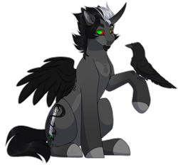 Size: 2805x2600 | Tagged: safe, artist:purplegrim40, imported from derpibooru, oc, oc only, alicorn, bird, crow, pony, alicorn oc, colored hooves, horn, male, simple background, solo, stallion, transparent background, wings