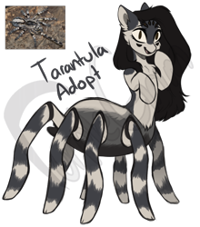 Size: 1142x1300 | Tagged: safe, artist:purplegrim40, imported from derpibooru, oc, oc only, monster pony, original species, pony, spiderpony, tarantula, ear fluff, simple background, smiling, transparent background