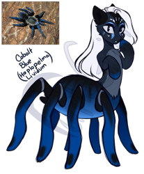Size: 1351x1634 | Tagged: safe, artist:purplegrim40, imported from derpibooru, oc, oc only, monster pony, original species, pony, spiderpony, tarantula, simple background, transparent background