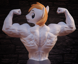 Size: 2048x1707 | Tagged: safe, artist:dashie116, imported from derpibooru, oc, oc only, oc:atom quanto, anthro, earth pony, 3d, anthro oc, back muscles, biceps, bodybuilder, clothes, daz studio, deltoids, earth pony oc, looking at you, looking back, looking back at you, male, muscles, muscular male, shorts, solo, teenager, triceps