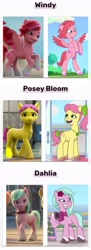 Size: 1500x4143 | Tagged: safe, edit, imported from derpibooru, screencap, earth pony, pegasus, pony, spoiler:g5, spoiler:my little pony: a new generation, spoiler:my little pony: tell your tale, spoiler:tyts01e02, spoiler:tyts01e05, 2d, 3d, bipedal, bow, clothes, comparison, dahlia, female, flower, flower in hair, g5, hair bow, jewelry, mane melody, mare, my little pony: a new generation, my little pony: make your mark, my little pony: make your mark chapter 1, my little pony: tell your tale, necklace, posey bloom, rearing, scarf, tail, tail bow, windy (g5), zipp's flight school