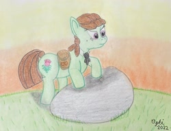 Size: 3863x2951 | Tagged: safe, artist:opti, imported from derpibooru, oc, oc only, oc:broadside barb, earth pony, pony, atg 2022, backpack, bag, determined, newbie artist training grounds, rock, saddle bag, solo, sunset, traditional art