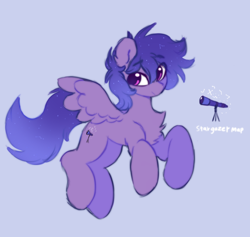 Size: 1246x1183 | Tagged: safe, artist:flixanoa, imported from derpibooru, oc, oc only, oc:stargazermap, pegasus, pony, chest fluff, cutie mark, ethereal mane, folded wings, male, pegasus oc, pony oc, reference, reference sheet, solo, starry mane, telescope, wings
