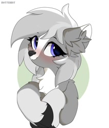Size: 1707x2000 | Tagged: safe, artist:butterbit, imported from derpibooru, oc, oc only, oc:silverlining, deer, deer pony, original species, blushing, chest fluff, ear fluff, simple background, solo, white background