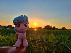 Size: 2048x1536 | Tagged: safe, artist:xeto_de, imported from ponybooru, cozy glow, irl, photo, plushie, sunset