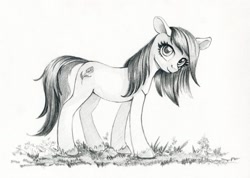 Size: 1195x849 | Tagged: safe, artist:maytee, imported from derpibooru, roseluck, earth pony, pony, grayscale, monochrome, pencil drawing, solo, traditional art