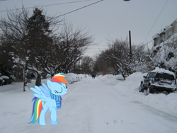 Size: 1920x1440 | Tagged: safe, artist:anxet, artist:mlplover94, imported from derpibooru, rainbow dash, pegasus, pony, car, clothes, delaware, female, irl, mare, photo, ponies in real life, scarf, snow, solo, vehicle, wilmington