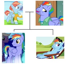 Size: 1111x1092 | Tagged: safe, edit, edited screencap, imported from derpibooru, screencap, bow hothoof, rainbow blaze, rainbow dash, windy whistles, pegasus, pony, games ponies play, parental glideance, season 3, season 7, too many pinkie pies, accessory, beard, brother, brother and sister, clothes, daughter, daughter and son, eyelashes, facial hair, family, family tree, father, father and child, father and daughter, father and son, female, g4, grass, grass field, indoors, jacket, male, mare, mother, mother and child, mother and daughter, mother and son, outdoors, parent and child, shirt, siblings, simple background, sister, son, stallion, sunglasses, t-shirt, tree, wall of tags, white background