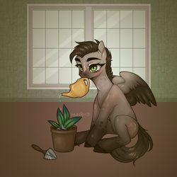 Size: 3000x3000 | Tagged: safe, artist:maslo<3, imported from derpibooru, pegasus, pony, commission, plant, plant pot, solo, trowel, watering can, window, ych result