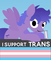 Size: 2259x2644 | Tagged: safe, artist:ponyrailartist, imported from derpibooru, oc, oc only, oc:stargazermap, pegasus, pony, commission, ethereal mane, flag, graveyard of comments, holding a flag, pegasus oc, pride, pride flag, simple background, solo, spread wings, starry mane, text, transgender pride flag, wings, ych result