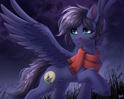 Size: 2500x2000 | Tagged: safe, artist:hakaina, imported from derpibooru, oc, oc only, oc:fenris ebonyglow, pegasus, pony, clothes, concave belly, fluffy, male, raised hoof, scarf, slim, solo, spread wings, stallion, thin, wings