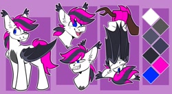 Size: 1629x893 | Tagged: safe, artist:rockin_candies, imported from derpibooru, oc, oc only, oc:lance, bat pony, pony, blue eyes, male, multicolored hair, pink hair, reference sheet, solo, stallion