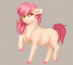 Size: 680x611 | Tagged: safe, artist:roselord, imported from derpibooru, oc, earth pony, pony, chest fluff, commission, fluffy, new style