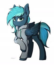 Size: 1707x2048 | Tagged: safe, artist:tatykin, imported from derpibooru, oc, oc only, oc:breeze packets, pegasus, pony, clothes, commission, female, hoodie, looking at you, mare, simple background, solo, white background, wings