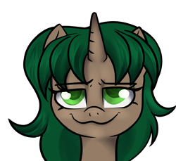 Size: 3600x3300 | Tagged: safe, artist:dumbwoofer, imported from derpibooru, oc, oc only, oc:pine shine, pony, unicorn, bust, female, looking at you, mare, simple background, smiling, smiling at you, smug, solo, transparent background