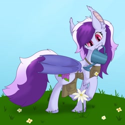 Size: 2900x2900 | Tagged: safe, artist:zackwhitefang, imported from derpibooru, oc, oc only, bat pony, pony, apron, bat pony oc, clothes, flower, solo, watering can