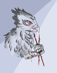 Size: 559x709 | Tagged: safe, artist:lambs prey, imported from derpibooru, oc, oc:garrow, griffon, fanfic:prey and a lamb, arrow, blood, fanfic art, isnd