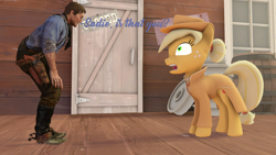 Size: 1920x1080 | Tagged: safe, artist:egr1n, imported from derpibooru, applejack, human, pony, 3d, barrel, boots, brown hair, cloak, clothes, cowboy, cowboy boots, door, female, freckles, green eyes, gun, handgun, handkerchief, happy, hat, male, puzzled, red dead redemption, red dead redemption 2, revolver, shawl, shirt, shoes, source filmmaker, tablet, text, weapon, window