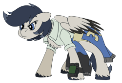 Size: 3500x2360 | Tagged: safe, artist:brainiac, imported from derpibooru, oc, oc only, pegasus, pony, clothes, requested art, shirt, simple background, solo, transparent background