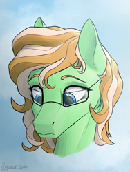 Size: 1800x2400 | Tagged: safe, artist:stardustspix, imported from derpibooru, oc, oc only, oc:sapphie, pegasus, pony, abstract background, blue eyes, bust, cream mane, cute, female, glasses, green coat, looking down, mare, ocbetes, portrait, raised eyebrows, signature, sternocleidomastoid