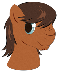 Size: 441x552 | Tagged: safe, artist:jitterbug-cafe, imported from derpibooru, oc, oc:dusty (jitterbug-cafe), pony, bust, male, portrait, simple background, solo, stallion, transparent background, tumblr:jitterbug cafe