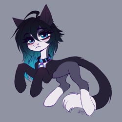 Size: 1800x1800 | Tagged: safe, artist:lomilykohi, imported from derpibooru, oc, oc only, cat, cat pony, original species, belt, cat tail, collar, collar ring, eye clipping through hair, eyebrows, eyebrows visible through hair, simple background, solo, tail
