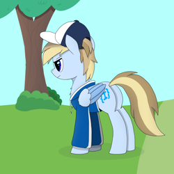 Size: 3240x3240 | Tagged: safe, artist:terncode, imported from derpibooru, oc, oc only, oc:terncode, pegasus, pony, cap, clothes, hat, pegasus oc, solo